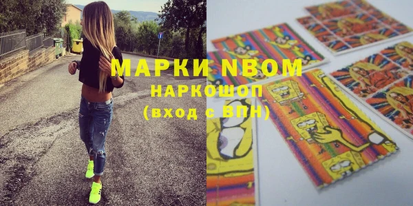 гидра Алексин