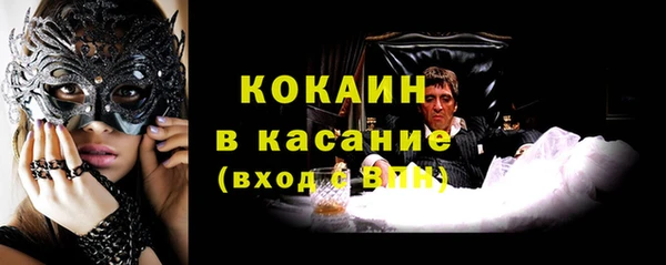 гидра Алексин