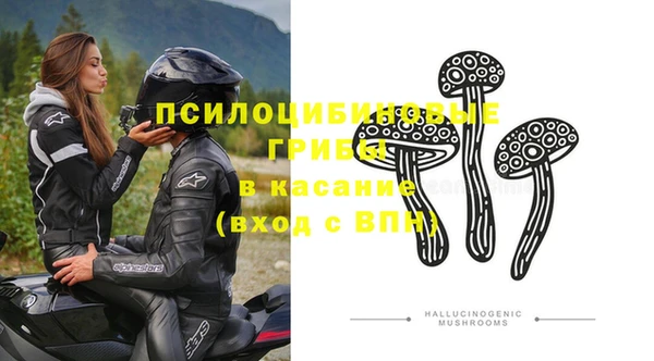 гидра Алексин
