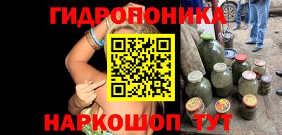 стафф Владикавказ