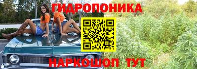 бошки Владивосток