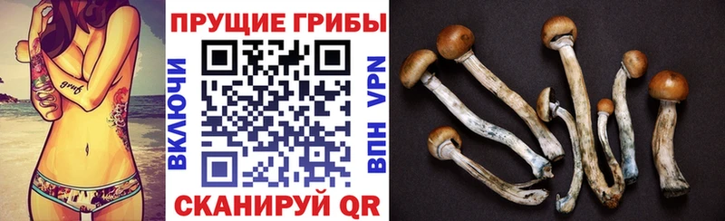 Галлюциногенные грибы мухоморы  цены   гидра ссылки  Заинск 