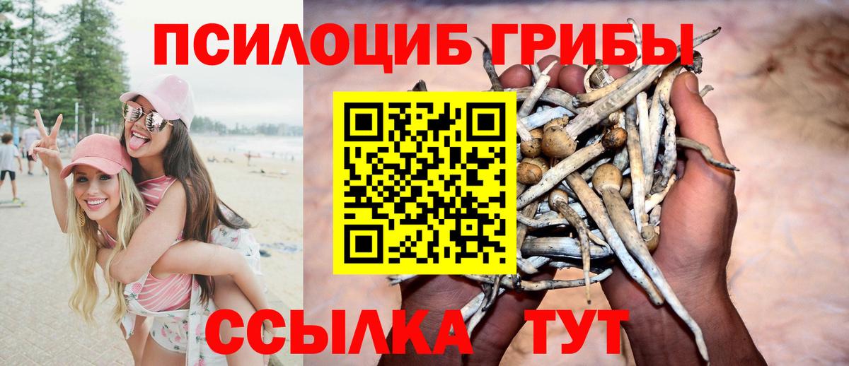 Галлюциногенные грибы мухоморы Заинск