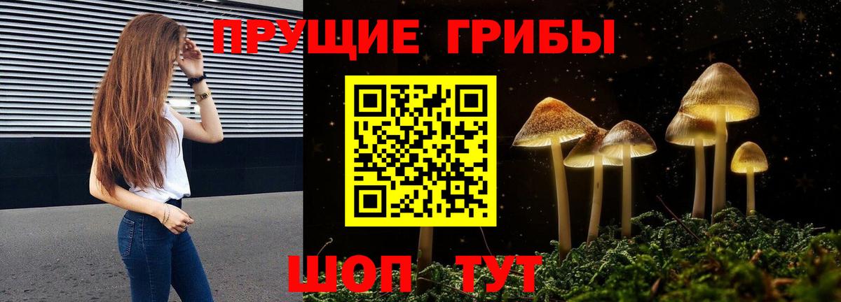 Галлюциногенные грибы Psilocybine cubensis  Вход с VPN  Заинск 